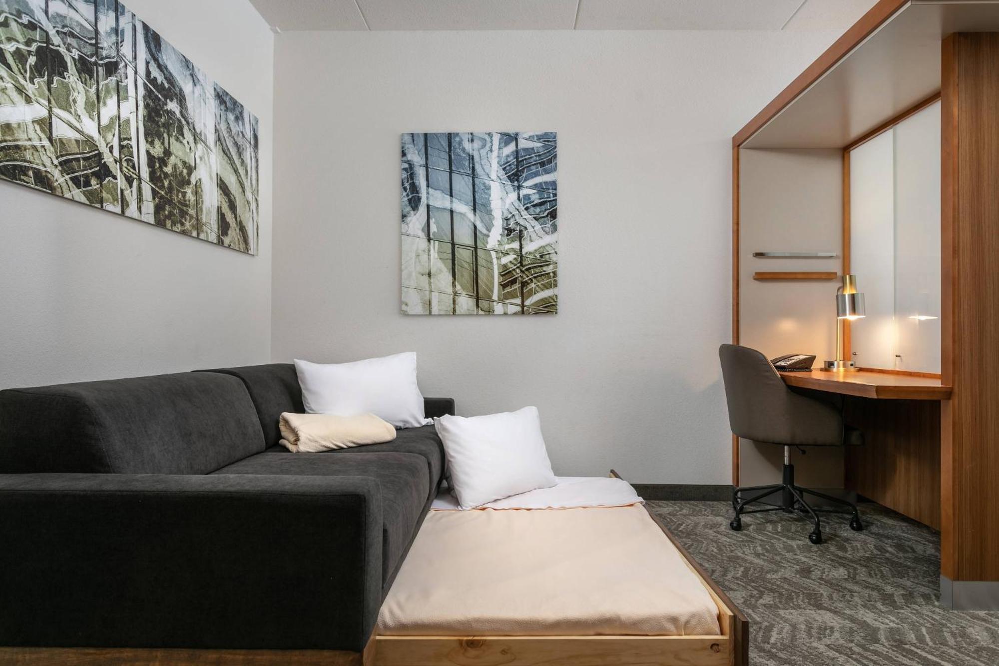 Springhill Suites By Marriott Downtown Chattanooga/Cameron Harbor מראה חיצוני תמונה